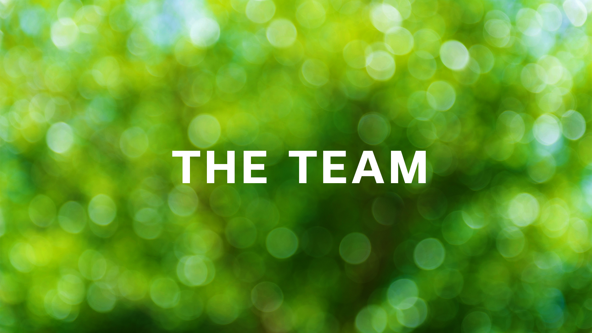 Meet Our Team